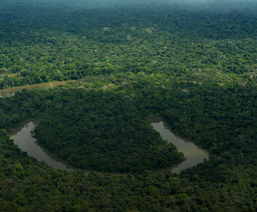 Paisaje Chiribiquete