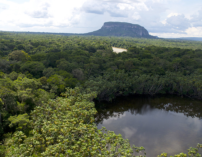 Serranía de Chiribiquete en medio de la selva amazónica.